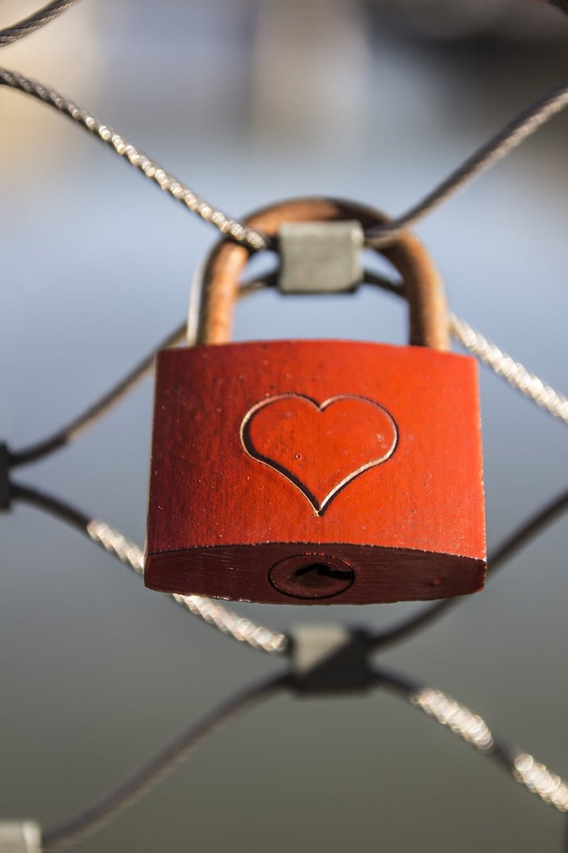 Luggage Locks